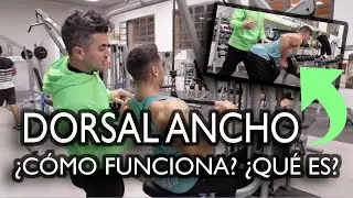 ¿QUÉ ES Y CÓMO FUNCIONA EL DORSAL ANCHO?