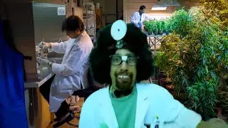 CypressHill - Dr. Crazy | Psychedelic Hip Hop Banger 2025