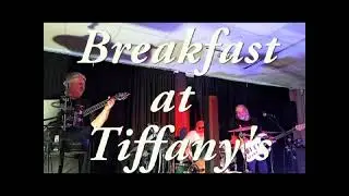 Breakfast at Tiffany's Doghouse Cover