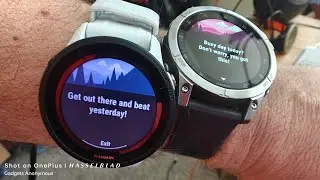 AMOLED or MIP? Garmin Forerunner vs. EPIX
