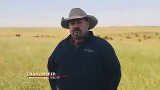 Bieber Red Angus Ranch Breeding Philosophy