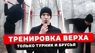 Тренировка ВЕРХА ТЕЛА на турнике и брусьях | Программа ВЕРХ-НИЗ