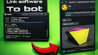 Link software to bot (New program)