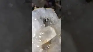 Сюрприз! Кристалл сфалерита! ЧТО?