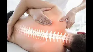 Great Bendigo Chiropractor Prices