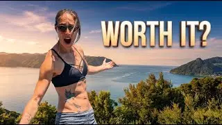 Huia Lookout Walk Auckland | Short Walk with Amazing Views