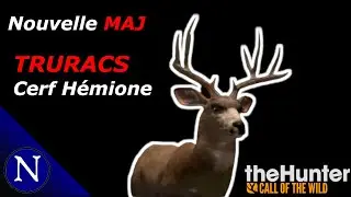 The Hunter COTW : Je découvre le Truracs des Cerfs Hémiones !