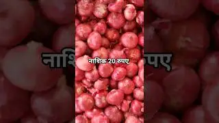 नाशिक वाला प्याज यह प्याज का भाव 20 रुपए kg बिका जयपुर मंडी #नाशिकप्याज #shorts