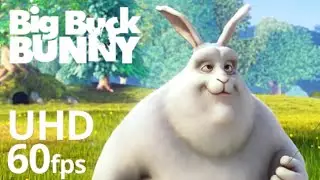 big buck bunny 60fps4k-offial bleender short film/big buck bunny full movie