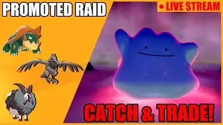 Shiny Ditto again? Catch & Trade for foreign Ditto! | !join !fc !den