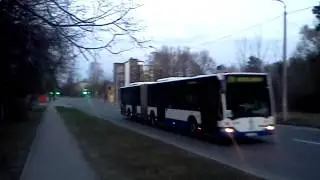 Mercedes Benz Citaro bus on 19/29 bus route Riga // Гармошка на 19 / 29 маршруте Рига