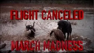 March Goose Hunt 