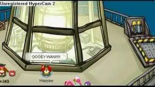 Stupidity Beyond Belief On Clubpenguin