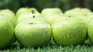 TAKI VEEX V1 iced green apple (new flavor!) Best Selling Vape Juice Flavours Of 2022