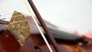 Hang drum and Viola-Krog/Circle