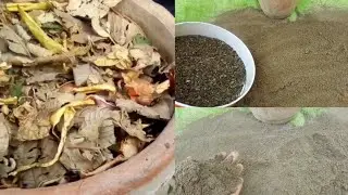 Homemade leaf compost |  kitchen waste aur leaves sy compost kese tyar kre | free organic compost |