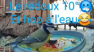 Le redoux 10&deg; 🥶? Et hop &agrave; l'eau 😂!