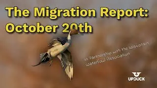 The Migration Report: Wisconsin Waterfowl Updates - Oct 20th