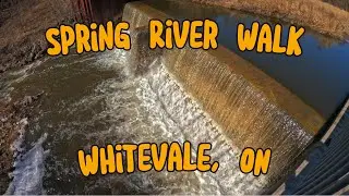 No Trail, Just River - Exploring Whitevale