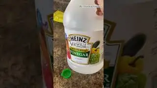 Dancing corn science experiment for kids