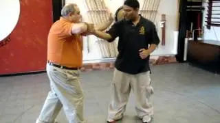 Xingyi Quan Bear Form Review