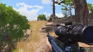 SGsb