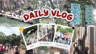 Ragunan vlog🦒🦥🦧🦔🐈 || aesthetic 2026 | pengamatan hewan ragunan 