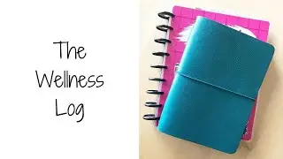 Adding in a 'Wellness Log' | Day 17