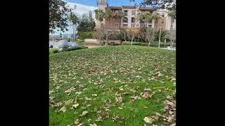 Changing Season such beautiful fall colors Alhamdulillah !
