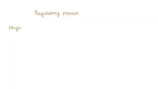 You lead a research team challenged with the task of creating a regulatory protein able to shut off&hellip;
