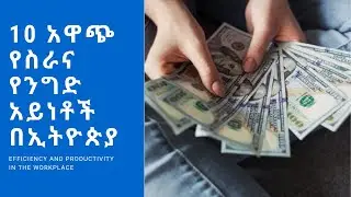 10 አዋጭ የስራና ንግድ አማራጮች በኢትዮጲያ top ten business ideas in ethiopia