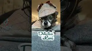 Detective Leni Theme Song (Puppy Songs)