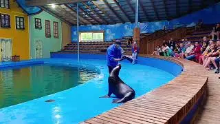  Sea Park Sarbsk