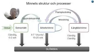 Kognitionsvetenskap i matematikundervisning: L&aring;ngtidsminne