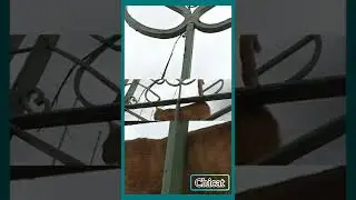 We saw this Cat on the fence🐱🐈 #cat #catvideos #short #shortvideo #catonfence #trendingcat #shorts