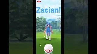 Pok&eacute;mon GO ZACIAN Raid #shorts #pokemongo #zacian