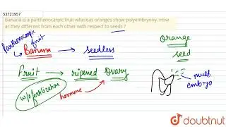 Banana is a parthenocarpic fruit whereas oranges show polyembryony. How ar they different from e...