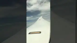 ANA787-10飛行fly