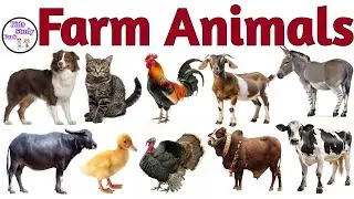  Animals Name | Domestic Animals | जानवरों के नाम  | Farm Animals Name | Pet Animals Name 