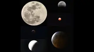 Super Blood Wolf Moon, Total Lunar Eclipse 2019 #LunarEclipse #SuperBloodWolfMoon