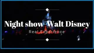 Walt Disney  night show | lighting #USA
