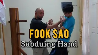 COMBAT VING TSUN - BEDAH WING CHUN #2 - FOOK SAO