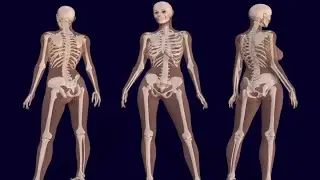 Natural Ways to Build Healthy Bones