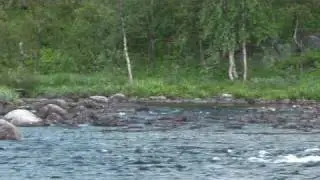 Рыбалка на реке 