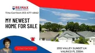 2512 Valley Sunset LN Valrico FL 33594