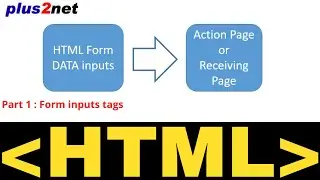 HTML FORM basics with input fields submit button action page and target attributes