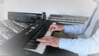 Yamaha Piaggero NP-V80