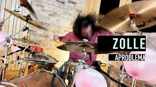 ZOLLE - Maialini e Maialine | Aproblema live