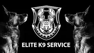 Training Dogs Elite K9 Service