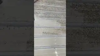 -LICHEN-    Pressure Washing A Roof Warsaw Indiana